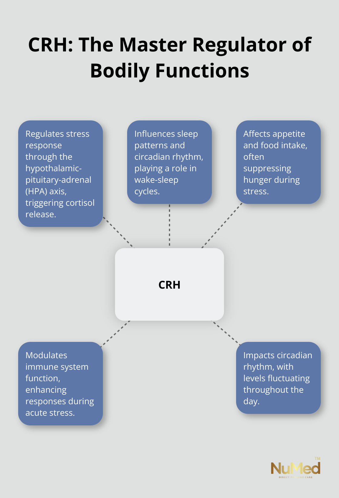 Hub and spoke chart showing Corticotropin-releasing hormone (CRH) as the central hub, with spokes illustrating its effects on stress response, sleep patterns, appetite, immune system, and circadian rhythm.