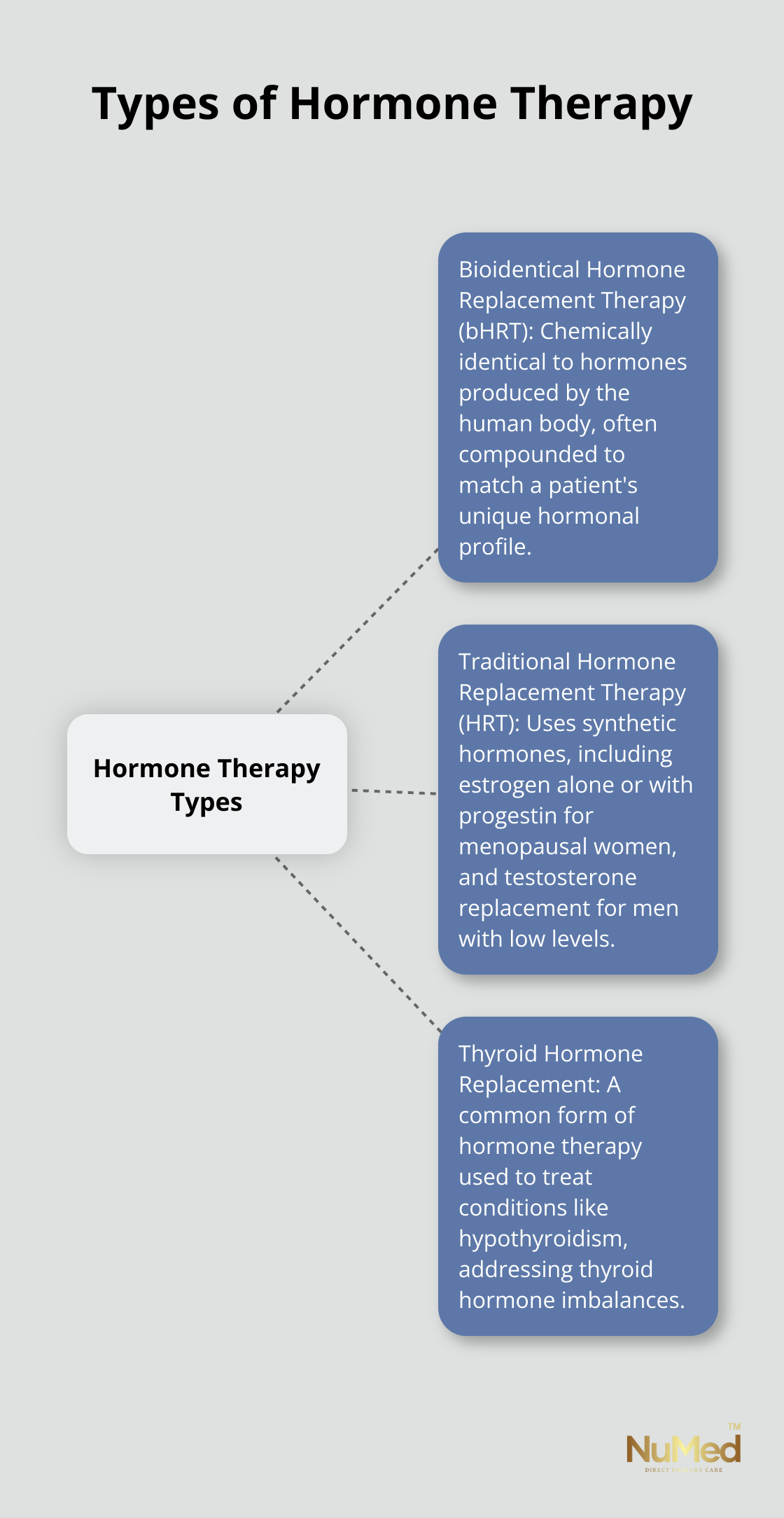 A hub and spoke chart showing three main types of hormone therapy: Bioidentical Hormone Replacement Therapy (bHRT), Traditional Hormone Replacement Therapy (HRT), and Thyroid Hormone Replacement. - does insurance cover hormone therapy