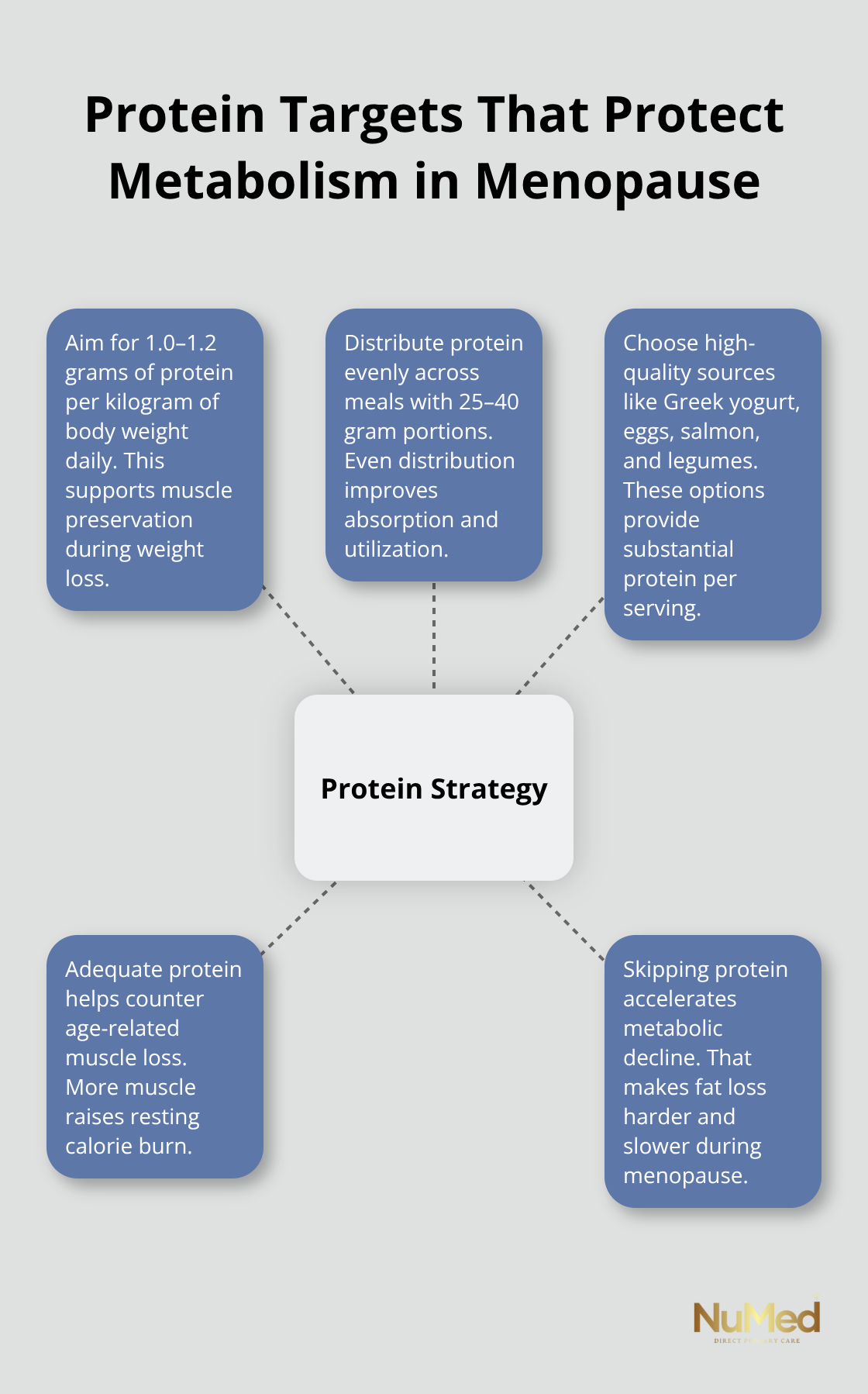 How protein intake supports muscle preservation and fat loss during menopause. - how to manage menopause weight gain