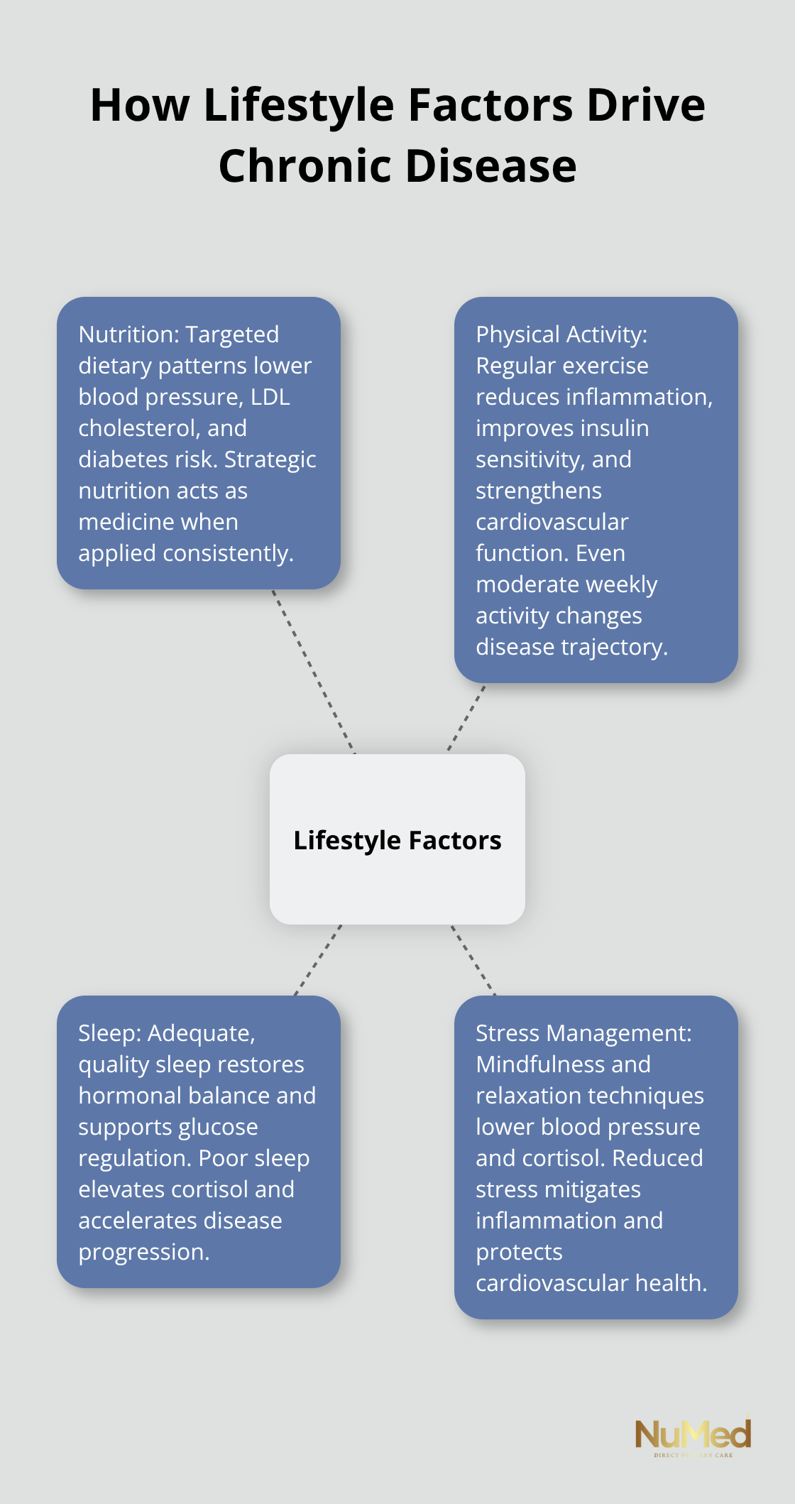 Visualization of four lifestyle factors influencing chronic disease outcomes
