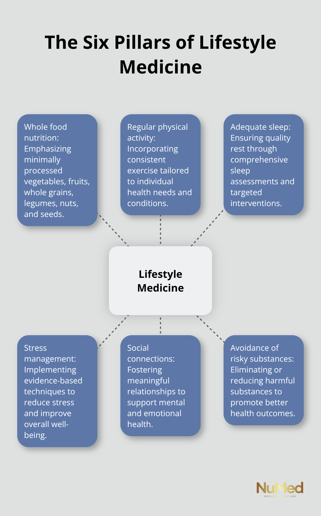 Hub and spoke diagram showing the six pillars of lifestyle medicine: whole food nutrition, regular physical activity, adequate sleep, stress management, social connections, and avoidance of risky substances.