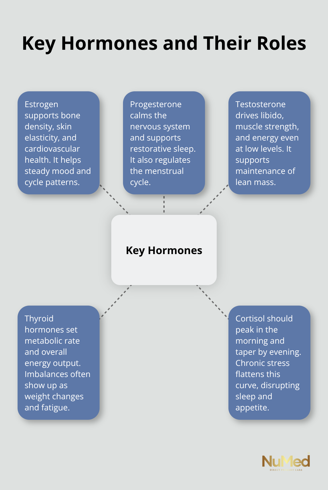 Infographic showing estrogen, progesterone, testosterone, thyroid hormones, and cortisol with their core functions in women. - natural way to balance hormones in women