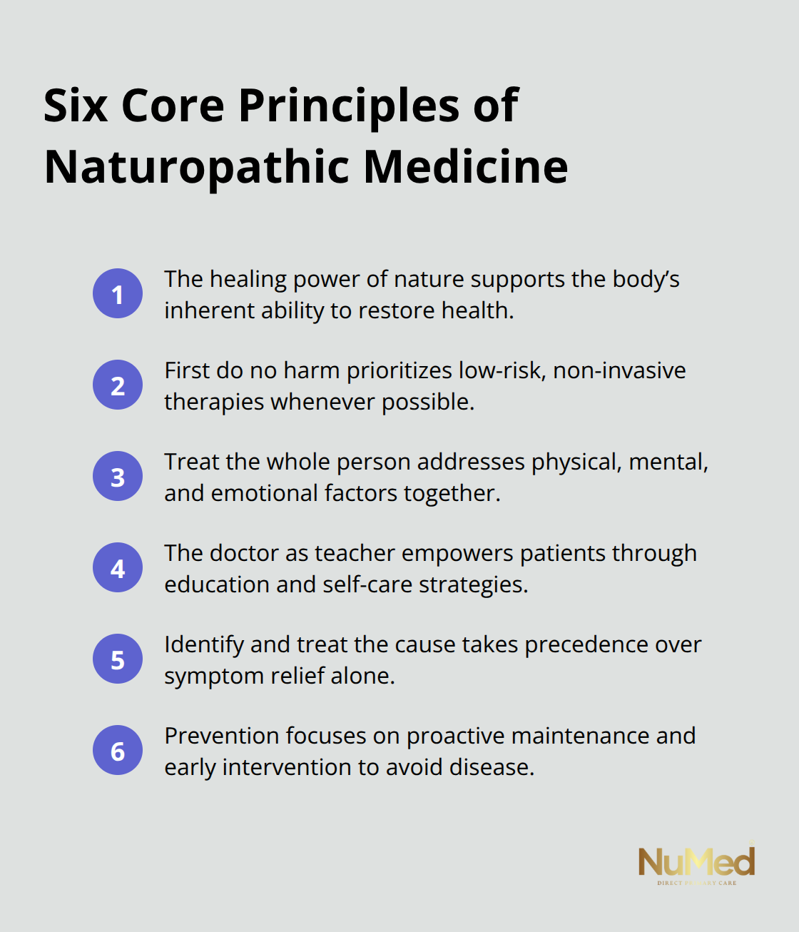 Six foundational naturopathic medicine principles summarized for patients in the United States.