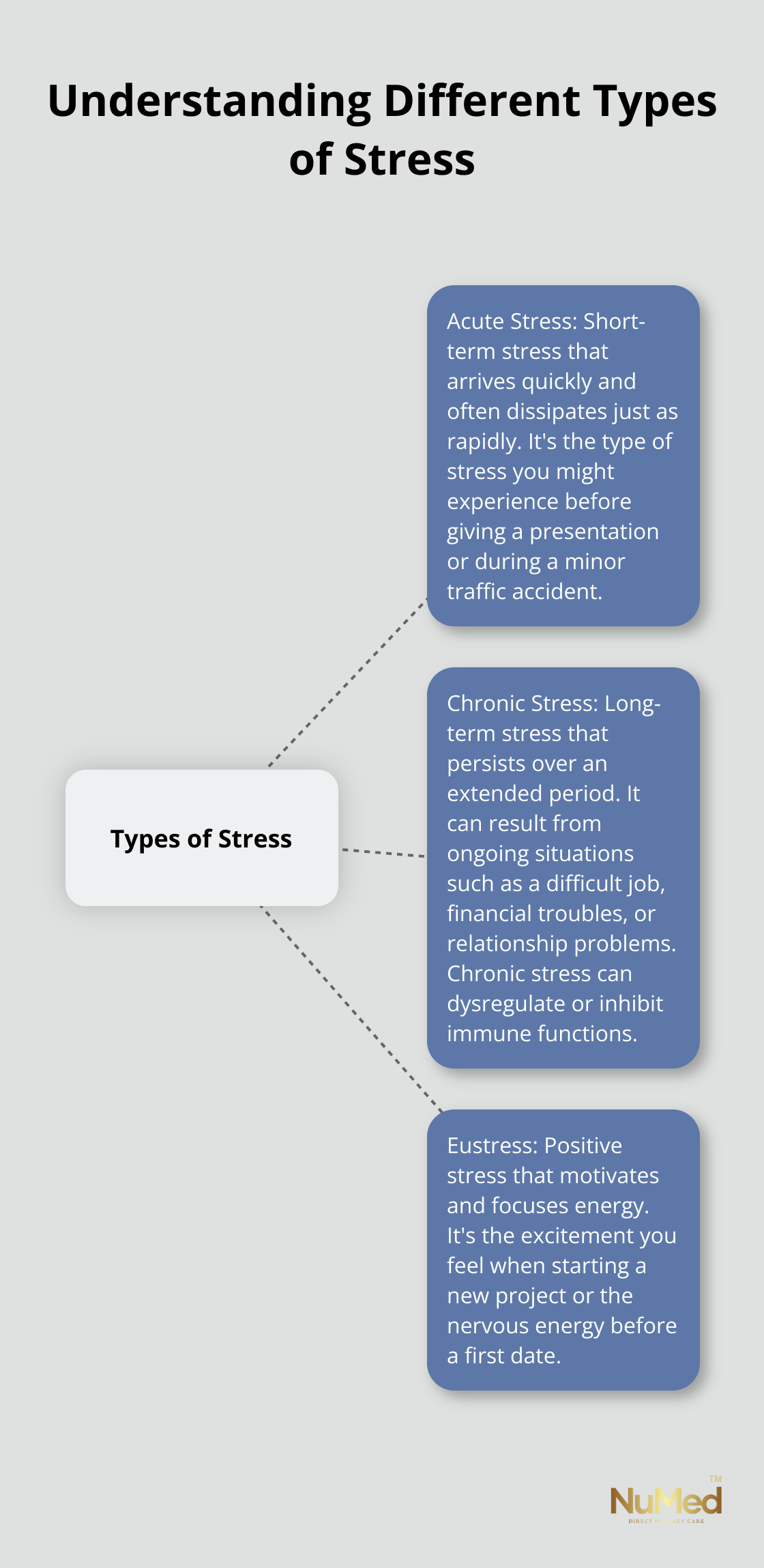 Hub and spoke chart showing three types of stress: Acute Stress, Chronic Stress, and Eustress