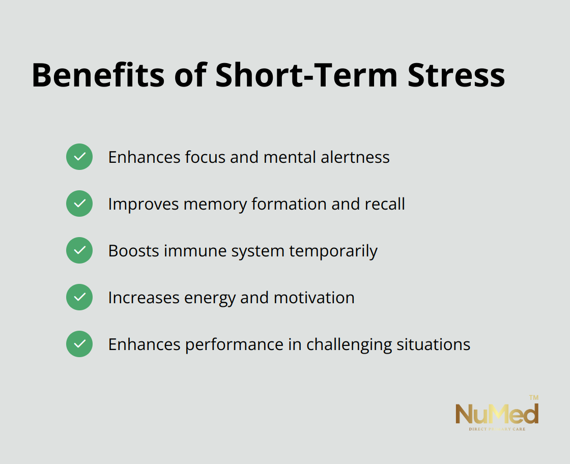 A checkmark list showing five benefits of short-term stress: enhanced focus, improved memory, boosted immune system, increased energy, and enhanced performance. - protective and damaging effects of stress mediators