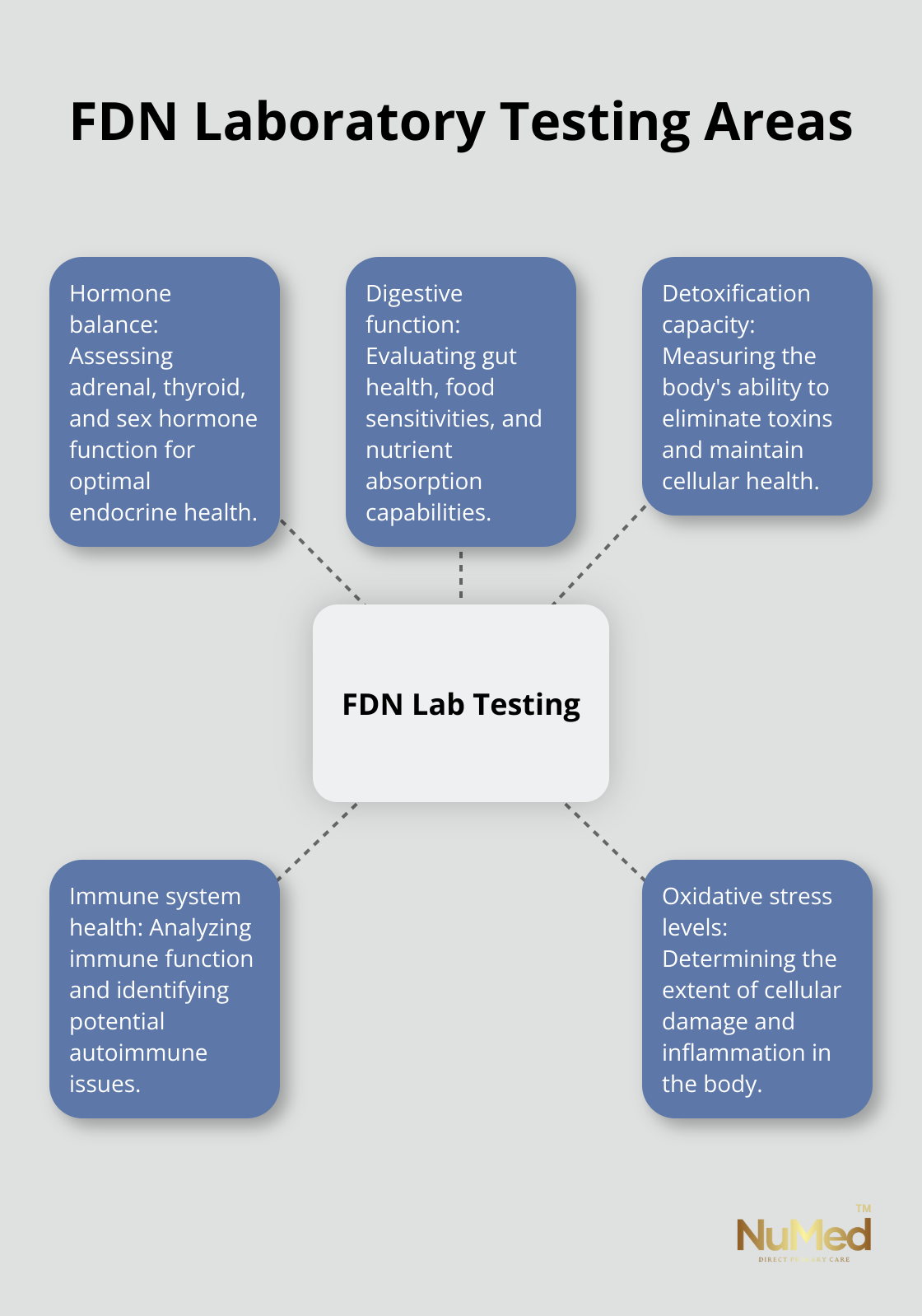 A hub and spoke chart showing the five key areas examined in Functional Diagnostic Nutrition laboratory testing: hormone balance, digestive function, detoxification capacity, immune system health, and oxidative stress levels. - what is functional diagnostic nutrition